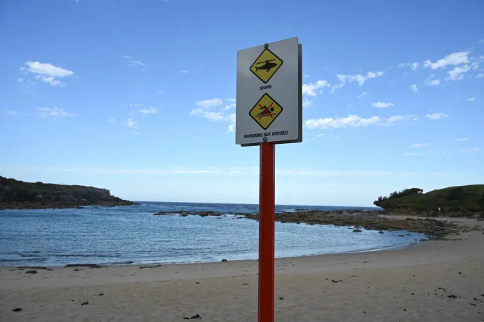 Cápatámadás áldozata lett egy ausztrál tinédzser
