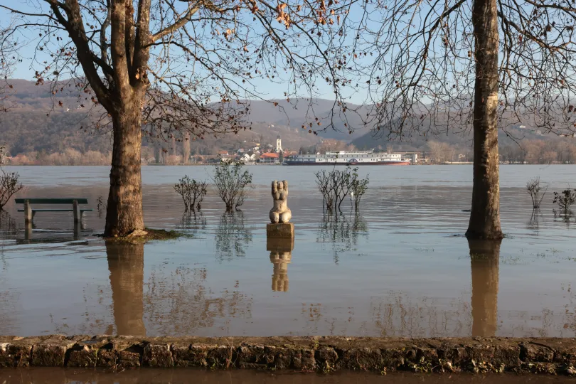Az áradó Duna Nagymaroson – Fotó: Hevesi-Szabó Lujza / Telex