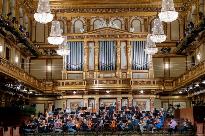 Román zenész is játszott a bécsi filharmonikusok újévi koncertjén