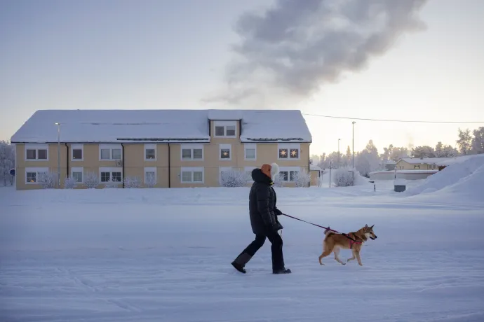Kutyát sétáltatni télen is kell, tudja ezt a svédországi Vittangiban élő kutyatulajdonos is – Fotó: Emma-Sofia Olsson / Tt News Agency / Reuters