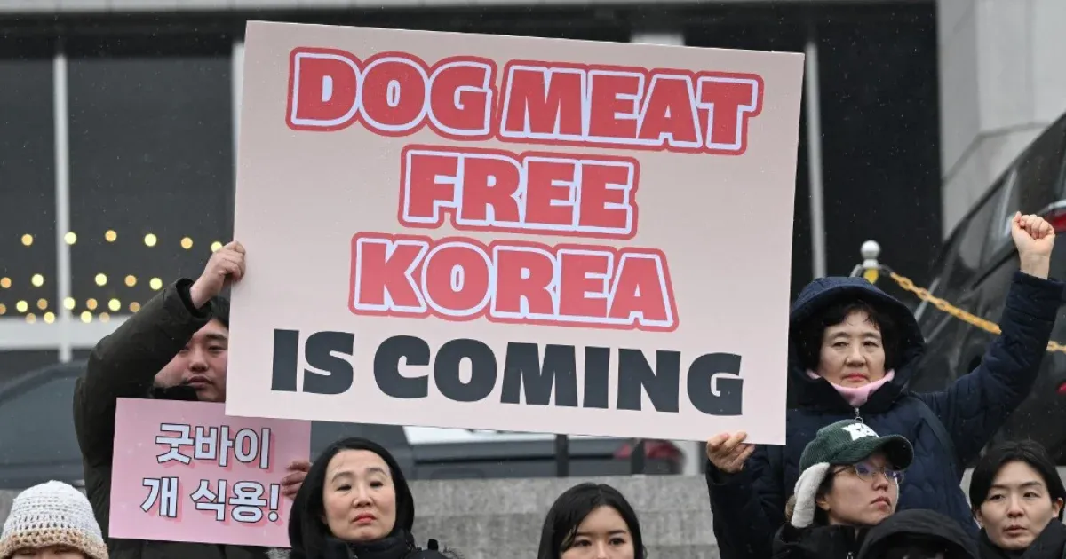 Megszavazták, véget vetnek a kutyaevésnek Dél-Koreában