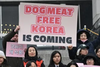 Megszavazták, véget vetnek a kutyaevésnek Dél-Koreában