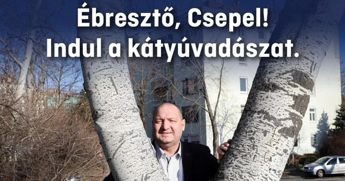 Durvul a fideszes belháború: Németh Szilárd már nyíltan a csepeli polgármester ellen kampányol