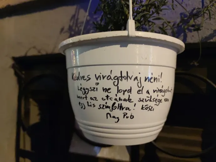 A virágtolvaj nénihez szóló szép üzenet a Bercsényi utcában – Fotó: Olvasói fotó / Telex