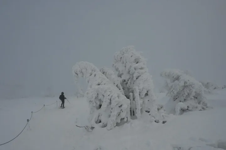 Merrilet Post Office, Weather Station, Snow Dogs - Photo: Gabor Tenzer / Telex