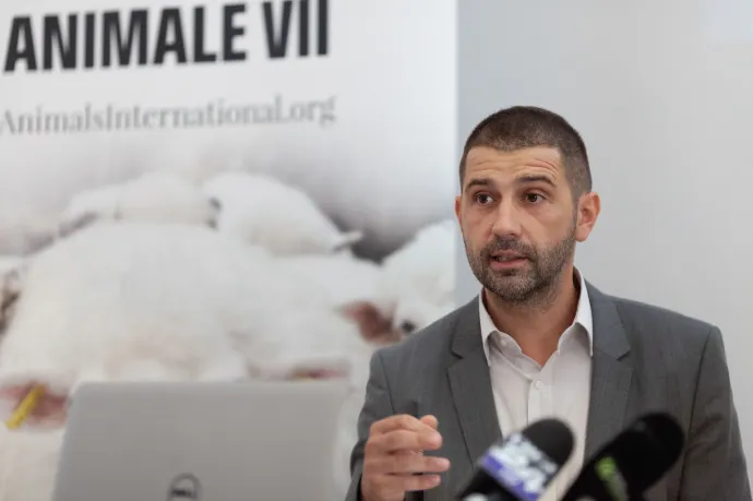 Balkan Insight: Romániából egy környezetvédő, Magyarországról a méltóságteljes halálért küzdő jogász 2023 hőse