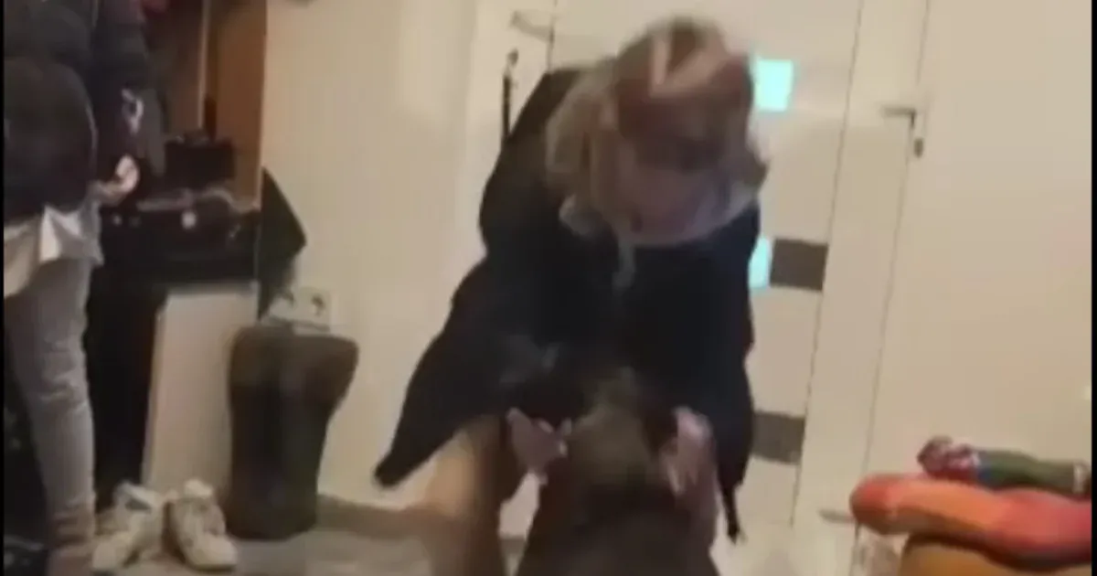 Két és fél év után térhetett haza egy kutya Tiszakécskén