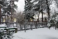 Kiadós éjszakai havazás után vastag a hórétegre ébredt Hargita és Kovászna megye