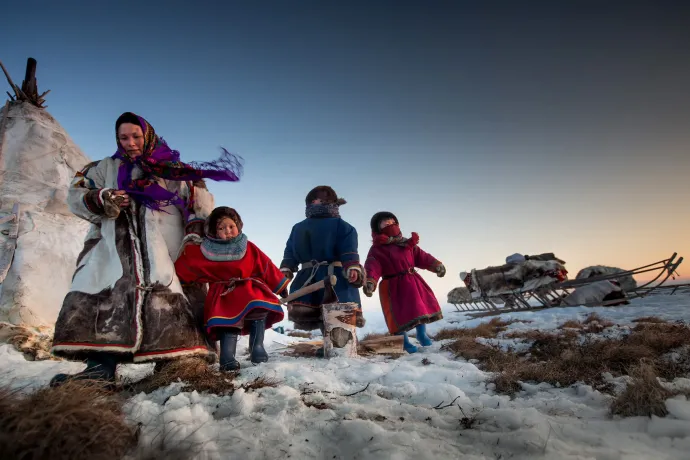 Nomád nyenyec család Jamali Nyenyecföldön, Szibéria nyugati részén – Fotó: Sergey Anisimov / Anadolu / Getty Images