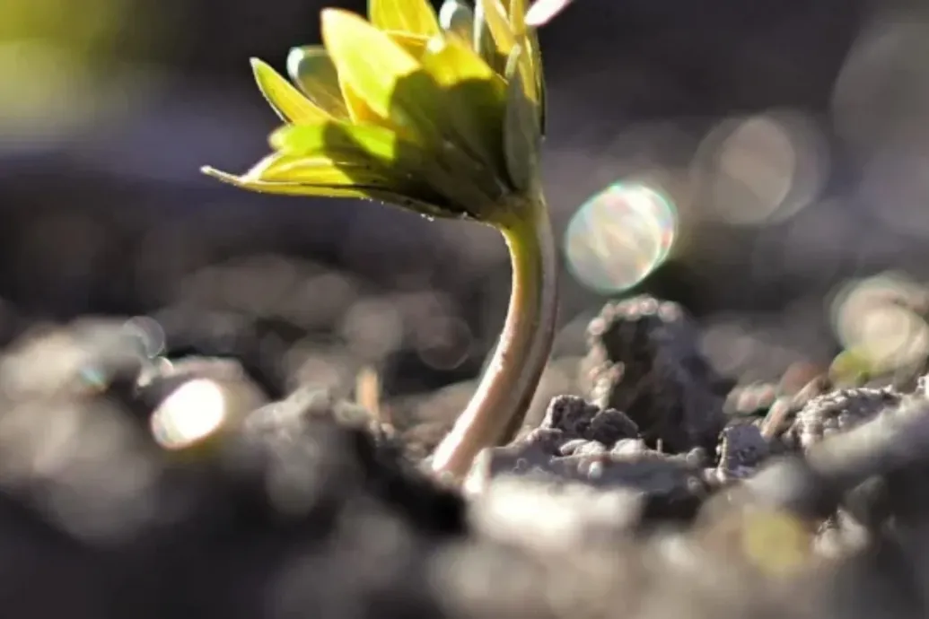 Kora tavaszi időjárás jön