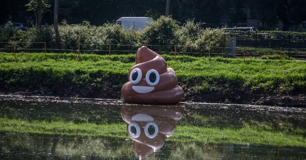 Elgondolkodott már azon, hogy miért barna az ürülék?