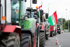 A záhonyi határnál fognak tüntetni a magyar gazdák az ukrán gabonaimport miatt