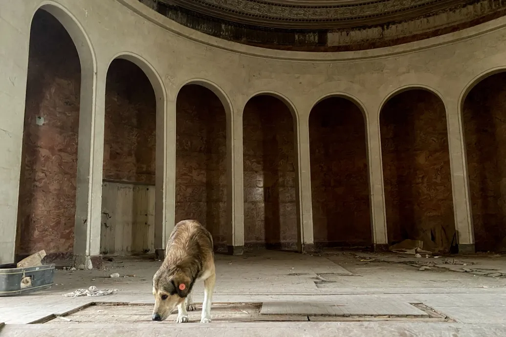 Feltárul az elhagyatott fürdőváros, ahol a kóbor kutyák az idegenvezetők