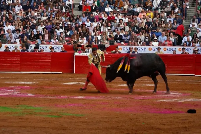 Újra rendeznek bikaviadalokat Mexikóban