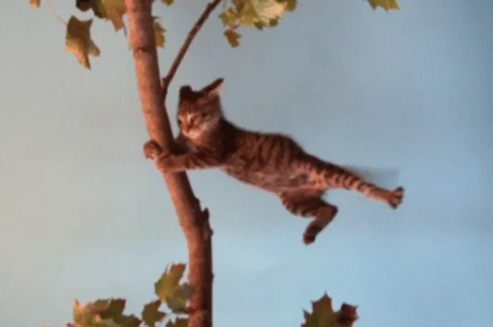 Odakinn meleg van, de viharos szél fúj