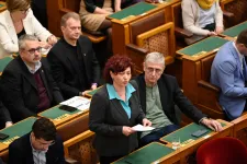 Lemondásra szólították fel Novák Katalint a parlamentben