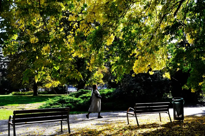 Meglett a 20 Celsius-fok, idén először