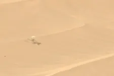 Lefotózta végső nyughelyén a működésképtelen helikopterhaverját a NASA marsjárója