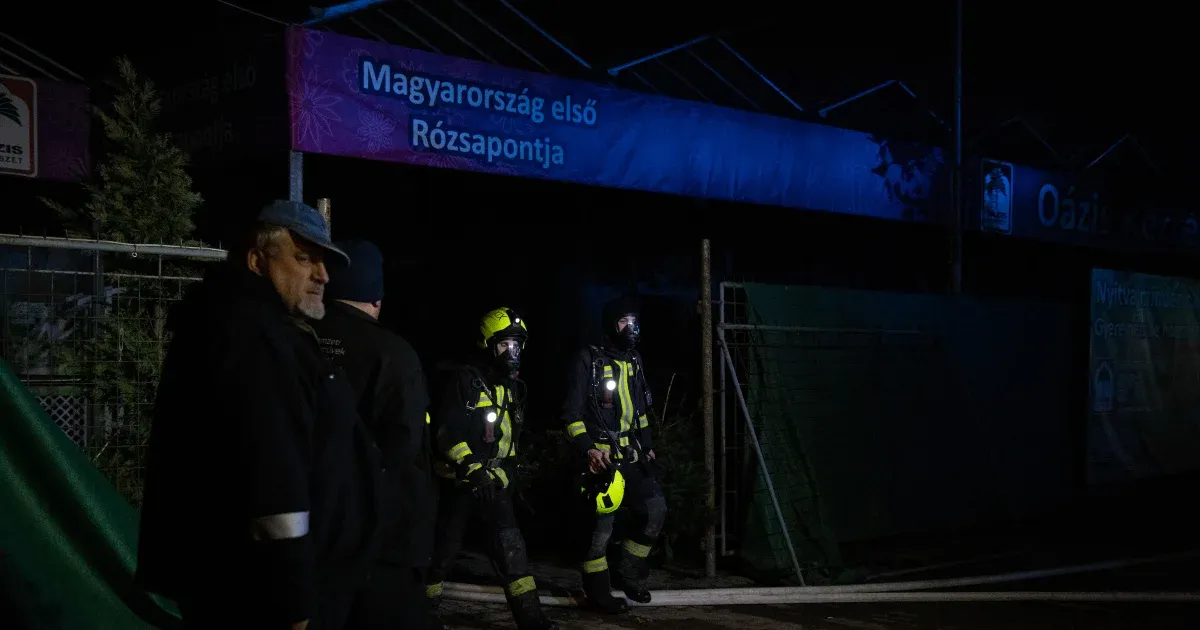 Megmenekült a tűztől a soroksári Oázis Kertészet faiskolája