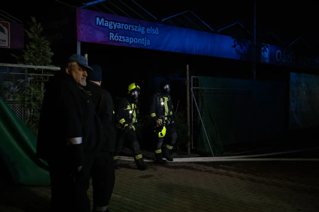 Megmenekült a tűztől a soroksári Oázis Kertészet faiskolája