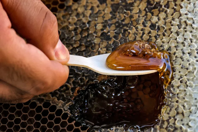 Új módszer segíti a hamis méz kiszűrését