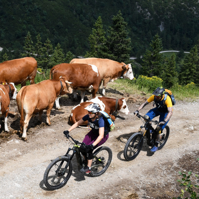 A turisták is bicikliznének autózás helyett