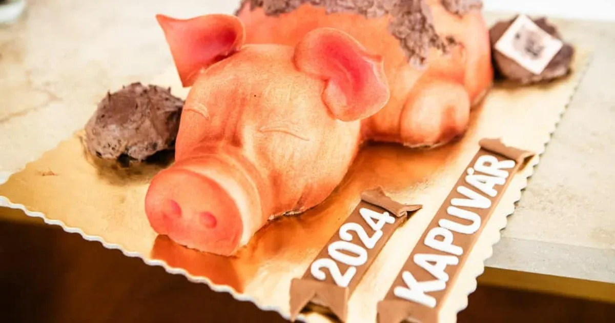 A nyugat-magyarországi fideszes képviselők egy poszttal letudták Novákék lemondását, volt egy csomó fontosabb ügyük
