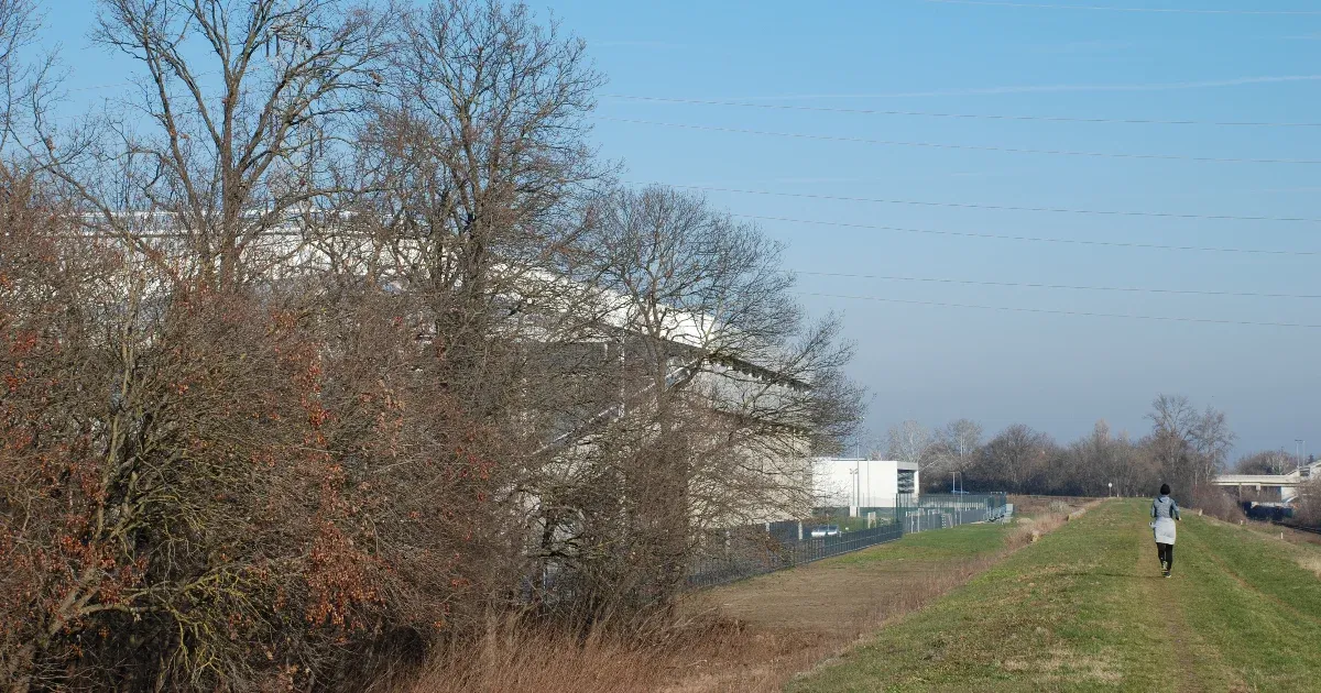 Megmarad a szegedi erdő, máshol építkezik az egyház
