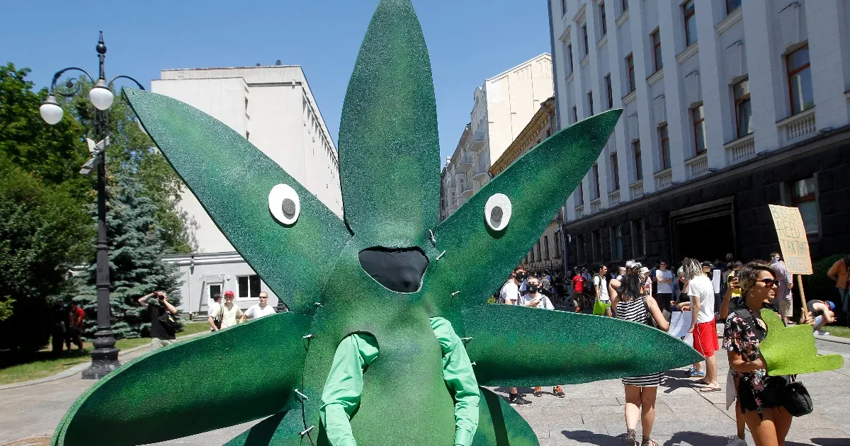 Engedélyezik a kannabisz orvosi célú használatát Ukrajnában