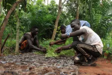 Jól hangzott, hogy teleültetik fákkal Afrikát, de tönkreteheti az ökoszisztémát