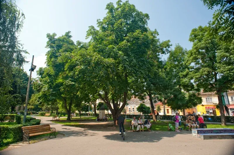 Kolozsvár egykori városfalának részletére bukkantak a Caragiale park felújítása során