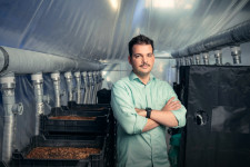 A csirkepörkölthöz és a hurkához is a rovarfehérjén keresztül visz a jövő útja