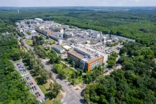 Megválik hatóanyaggyártó részlegétől a Teva, a cég kétezer embert foglalkoztat Debrecenben