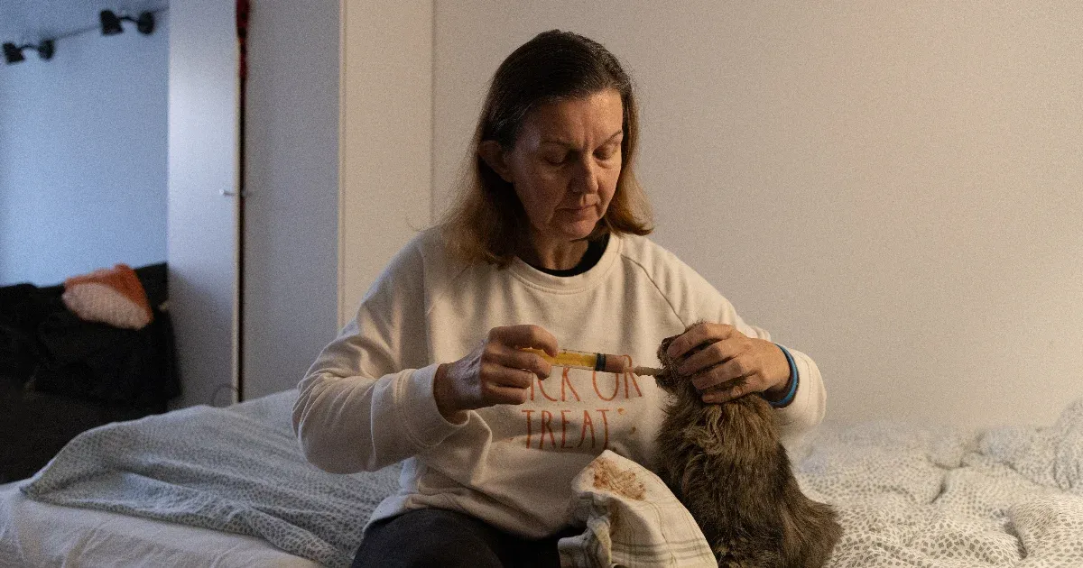 Kész lettem volna a földet is megcsókolni, amikor a harminc macskával átértünk Magyarországra Kész lettem volna a földet is megcsókolni, amikor a harminc macskával átértünk Magyarországra