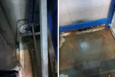 Csótányok és lejárt élelmiszerek miatt egymillió lejes bírságot szabtak ki az Unicarmra