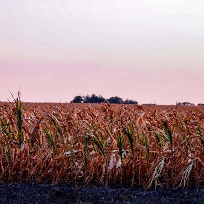 Csak tíz évvel később tudjuk meg, ha átléptük a 1,5 fokos küszöböt