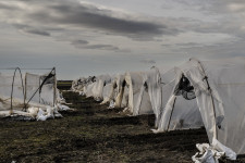 „Sok kutató próbálja ezt elmondani, de nem igazán jut el az emberekhez” – hogyan formálja át az Alföldet a klímaváltozás?