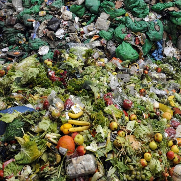 Jönnek a barna kukák, Budapesten is indul a lakossági biohulladék-gyűjtés