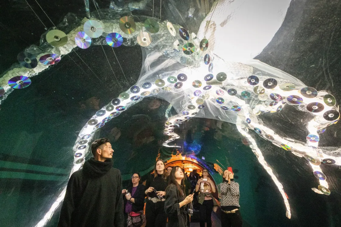 Az Inota Fesztivál szervezői most az állatkerti Biodómból csinálnak fénydómot