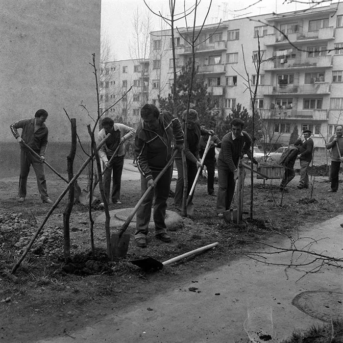 Tavaszi nagytakarítás és kertészkedés a Grigorescu-negyedben, 1986-ban – Fotó: Minerva Fotóarchívum