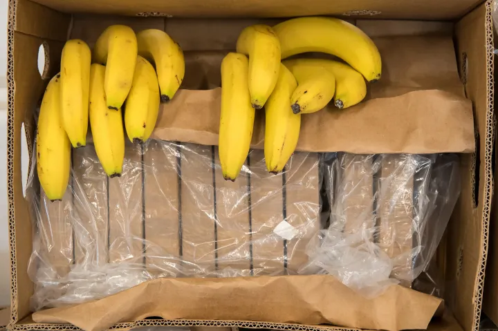 A kokain tarthatja olcsón a banánt Európában