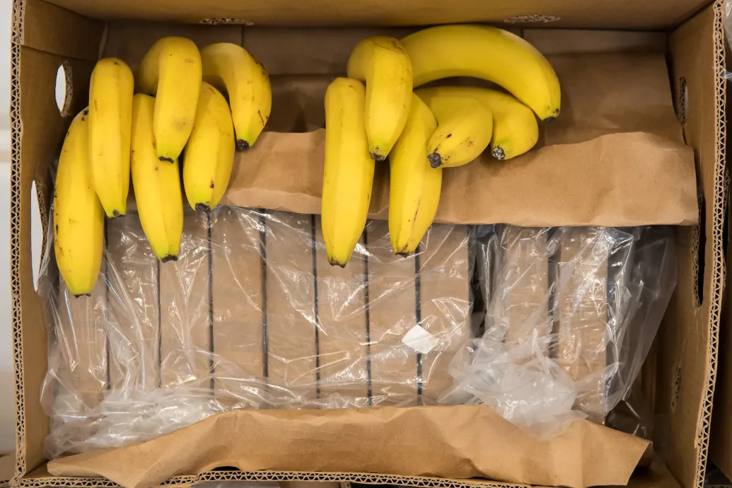 A kokain tarthatja olcsón a banánt Európában