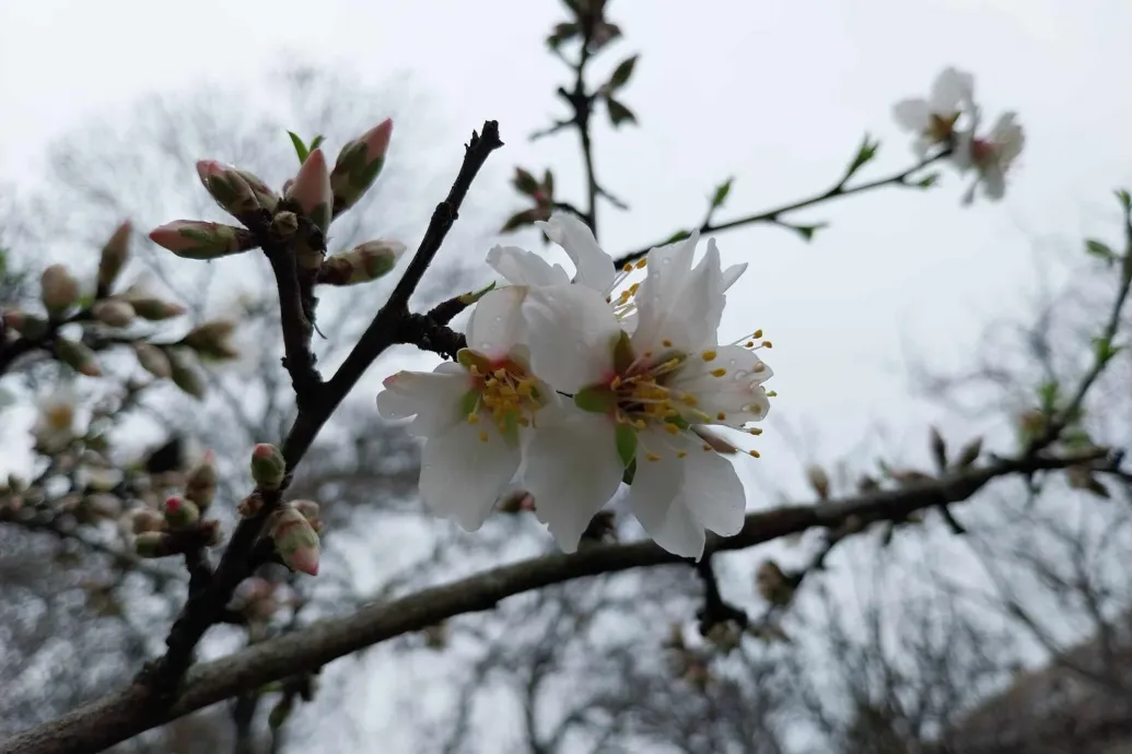 Marad a tavaszi idő, vasárnap a nap is kisüthet