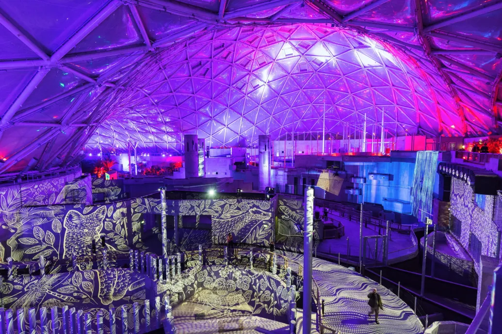 Ellopták a kék lézerpadlót a Biodómból, a tolvajokról felvétel készült