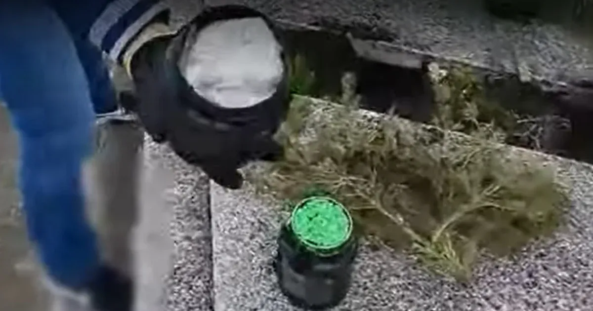 Apja sírjában rejtegette a drogot egy bélapátfalvai díler, az anyja is segített neki