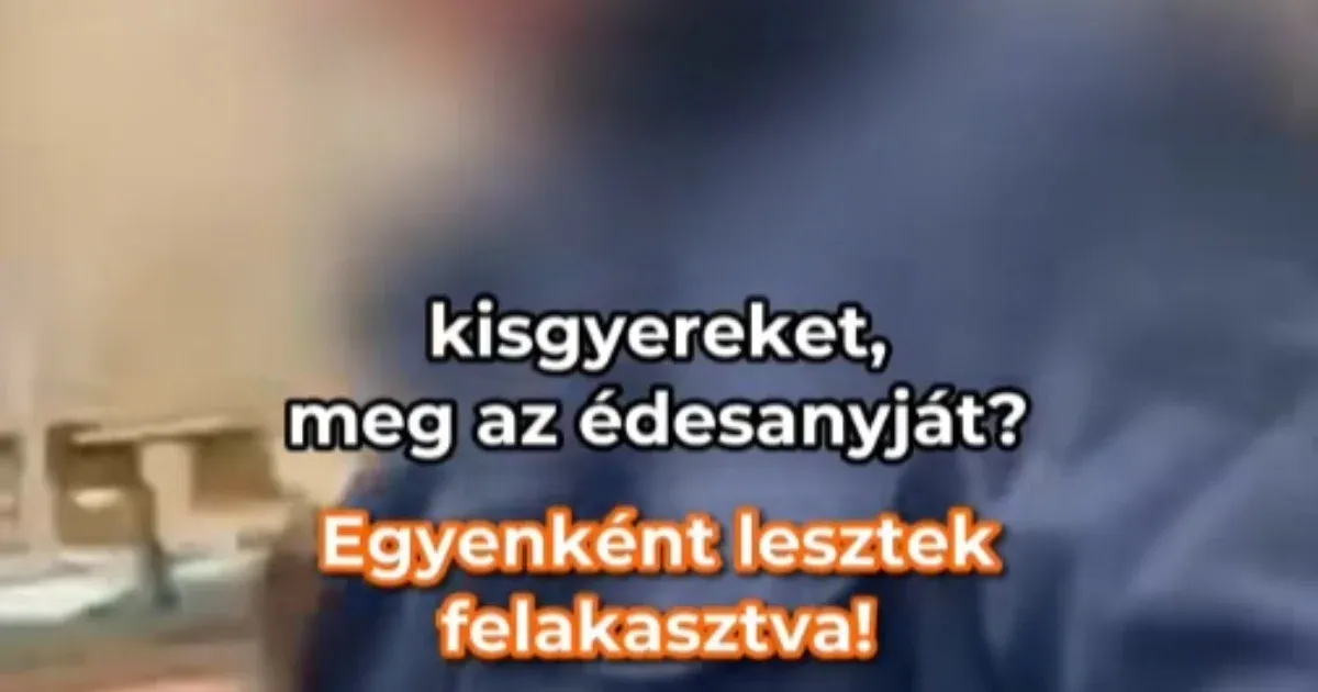 Leköpték és akasztással fenyegették a Momentum aktivistáját és gyerekét Budapesten, garázdaság miatt feljelentést tettek