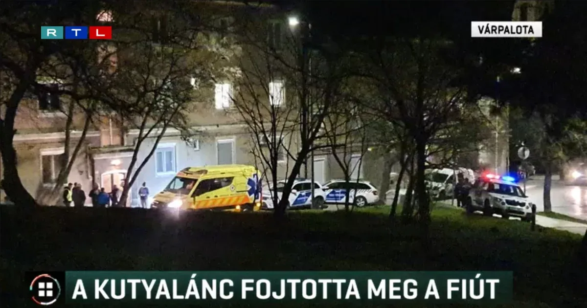 Felfüggesztett börtönbüntetésre ítélték azt a nevelőanyát, akinek fiát kutyalánc fojtotta meg