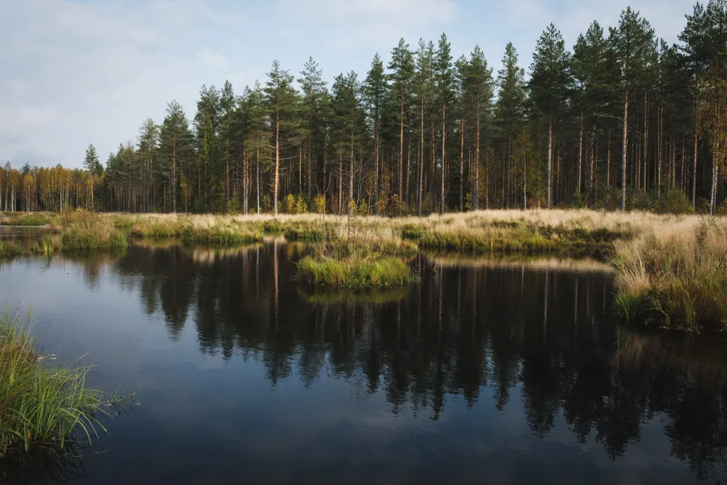 A Fidesz igent mondott rá, a magyar kormány buktathatja az EU természet-helyreállítási rendeletét
