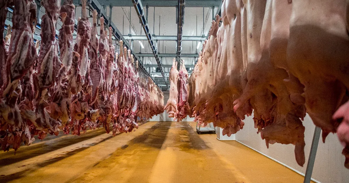 A húsipar tragikus éve: amikor jól megy nekünk, magyar húst eszünk, amikor rosszul, akkor németet
