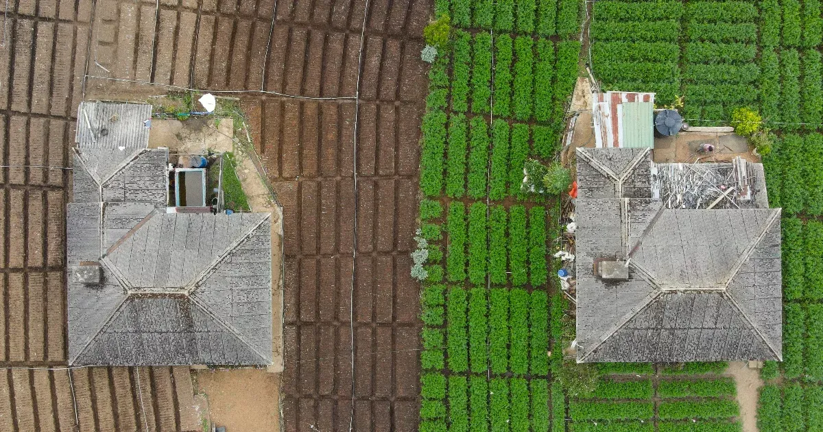 Ha egy biofarm mellett van egy hagyományos, az utóbbinak több kártevőirtót kell használnia